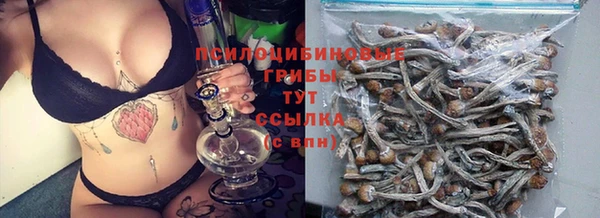 синтетический гашиш Ессентукская